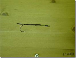 clip_image004