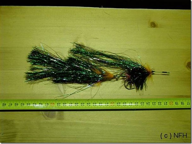 clip_image006