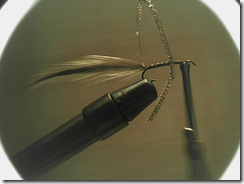 Parachute1