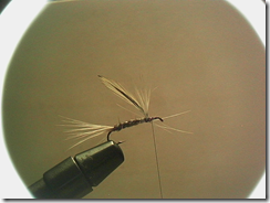 Parachute3