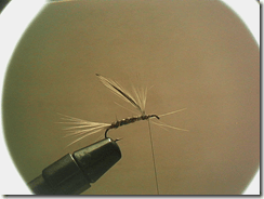Parachute3