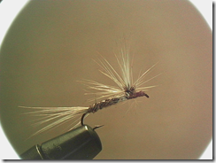 Parachute4