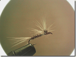 Parachute4