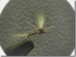 Paraex seitlich