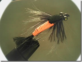 Flylyne2